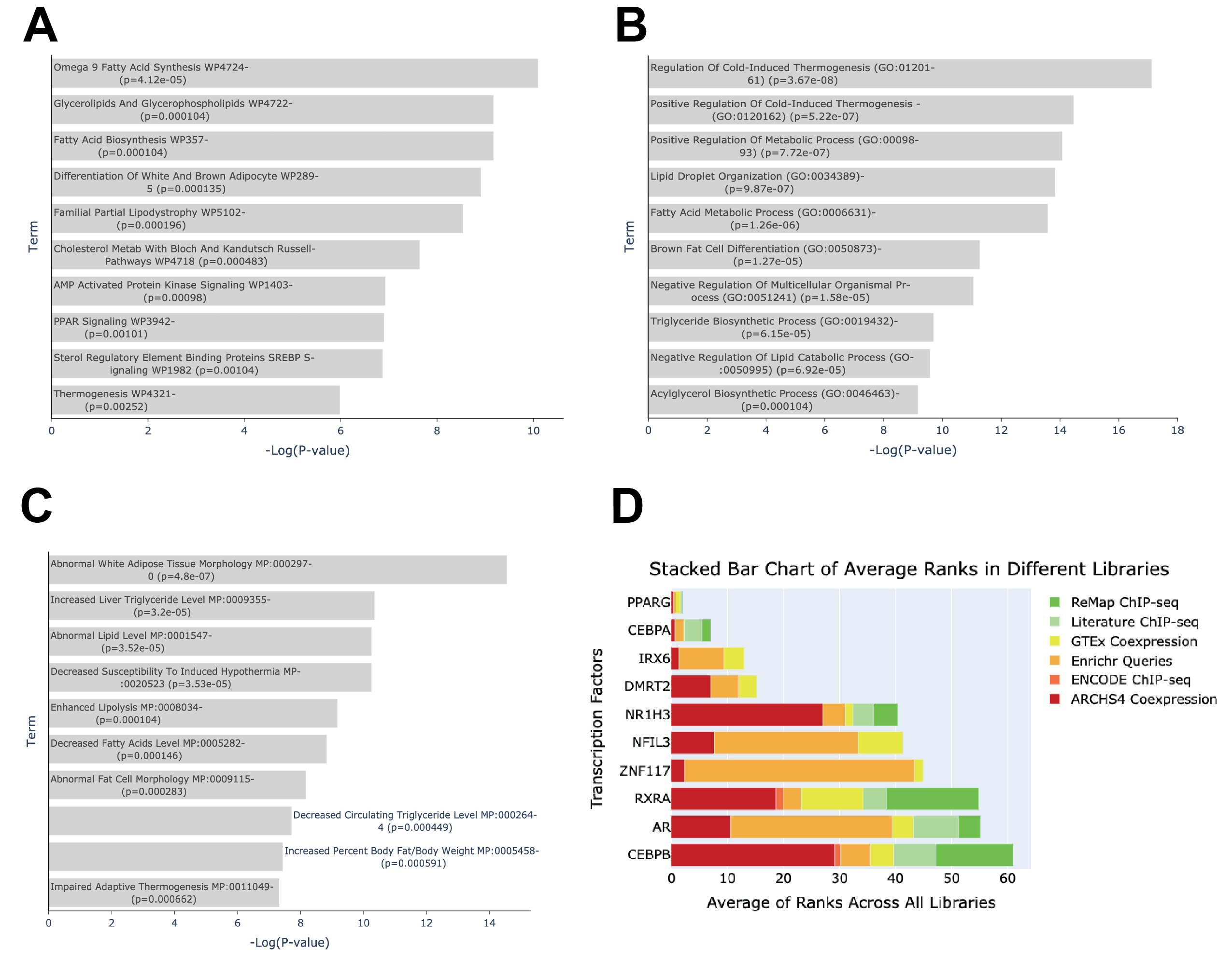 Enrichment Results from Adrenal and Adipose Overlap