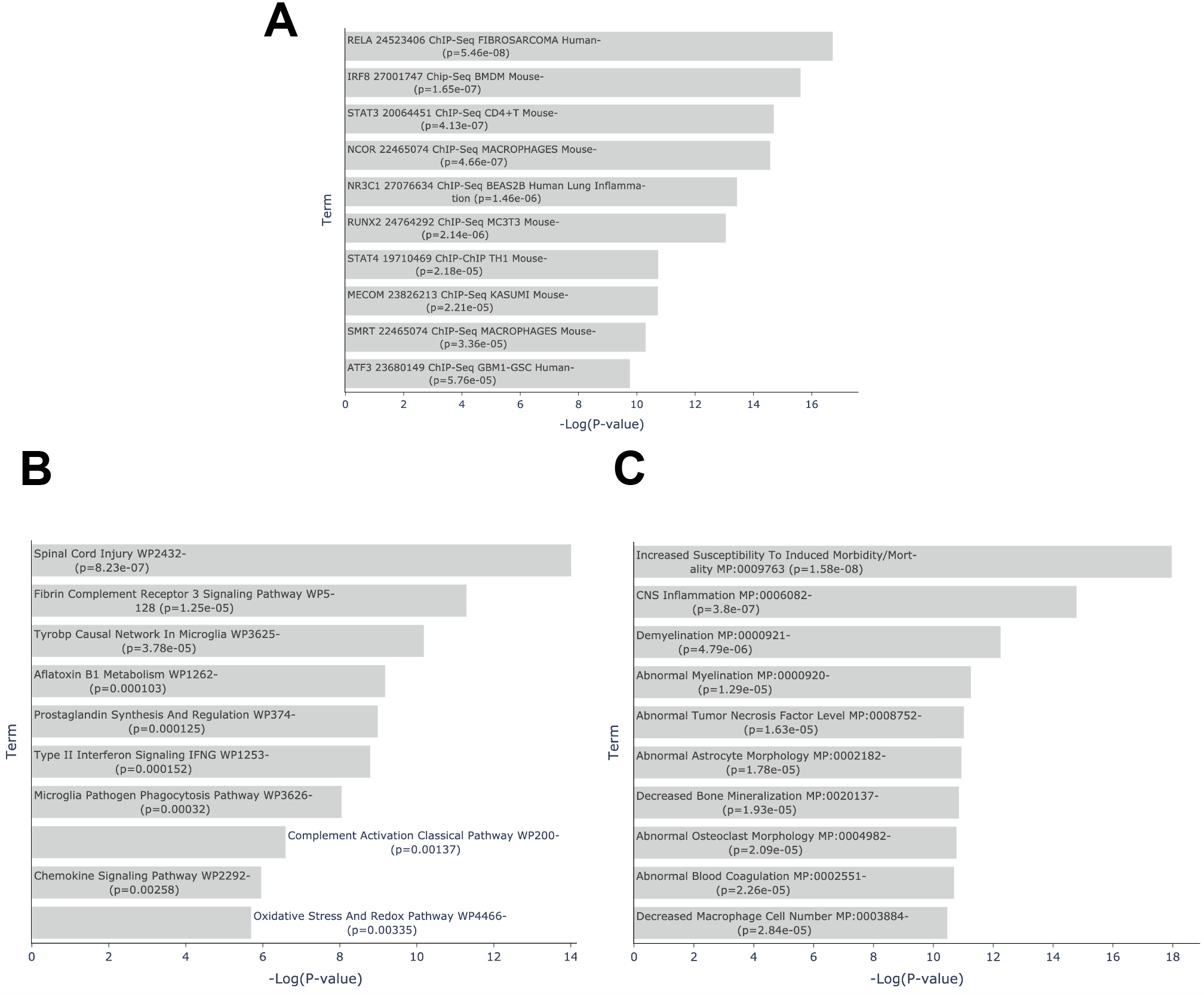 Alexander Disease Use Case Workflow