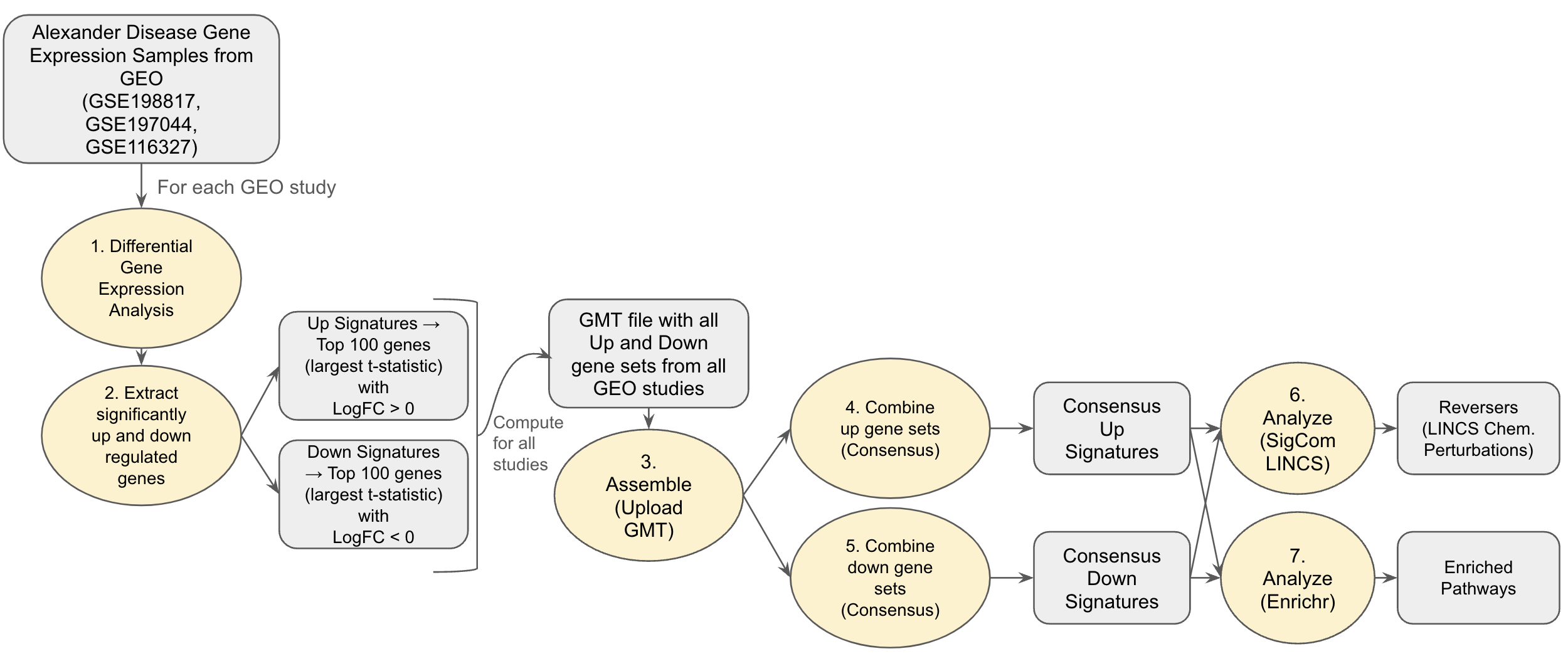 Alexander Disease Use Case Workflow