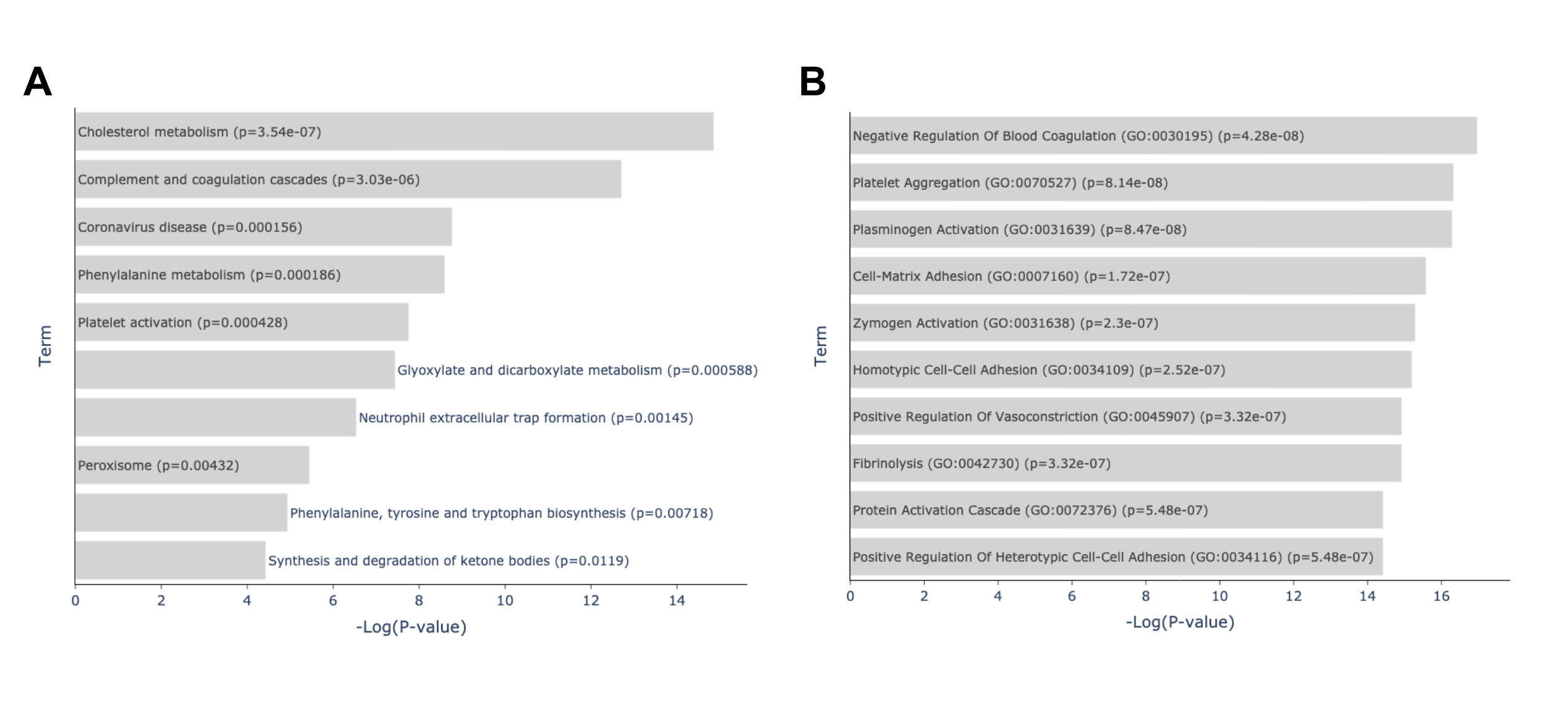 Enriched Terms from KEGG 2021 Human Library of Overlapping Genes of Top 2 Crossed Pairs