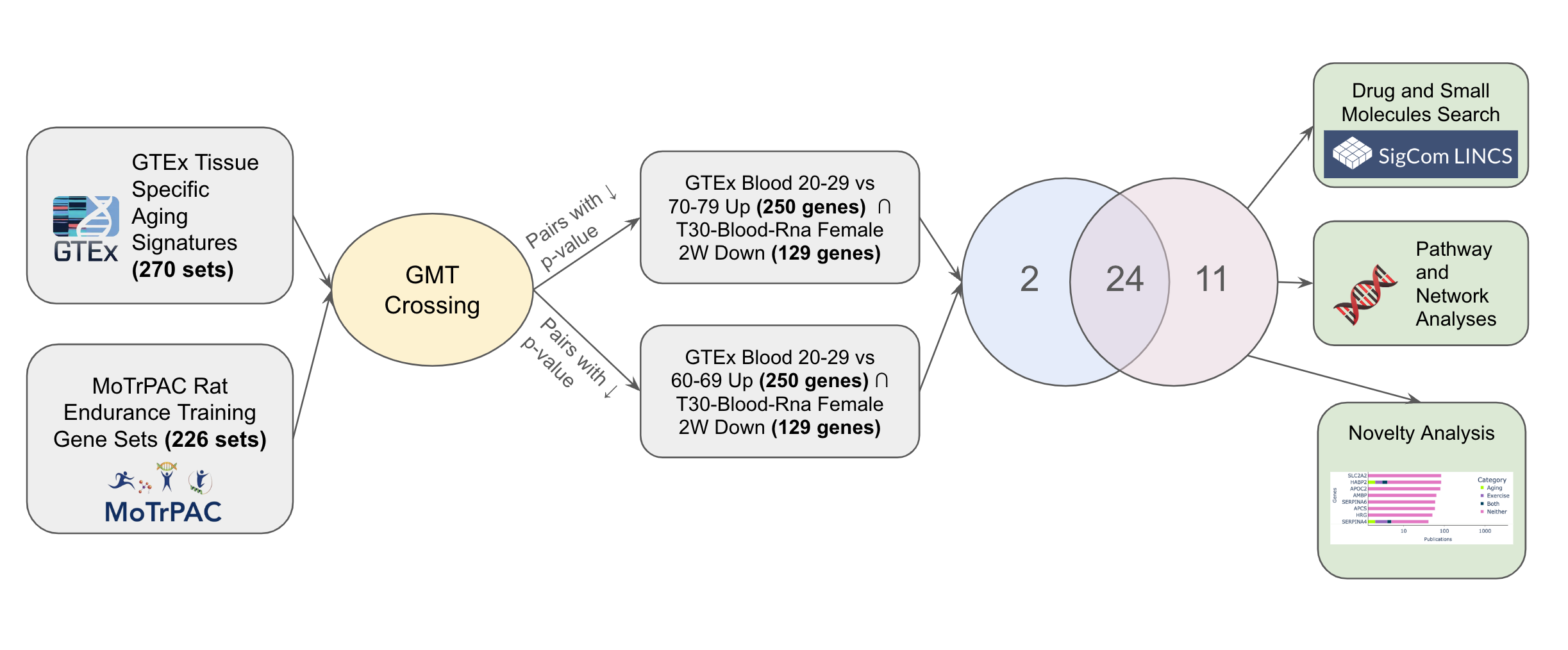 Aging Signatures - MoTrPAC GMT Crossing Workflow